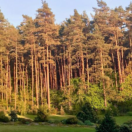 Apartament Przy Lesie Chojno-Blota Wielkie Buitenkant foto