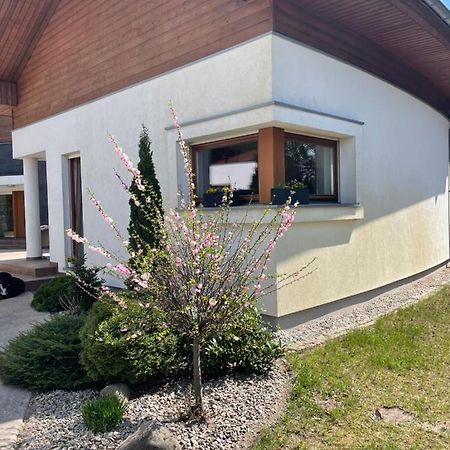Apartament Przy Lesie Chojno-Blota Wielkie Buitenkant foto