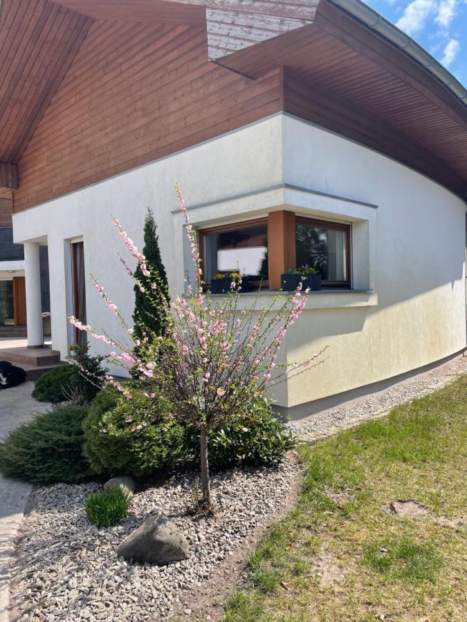 Apartament Przy Lesie Chojno-Blota Wielkie Buitenkant foto