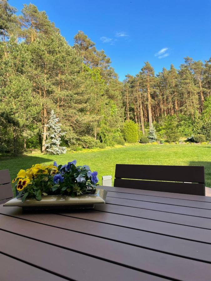 Apartament Przy Lesie Chojno-Blota Wielkie Buitenkant foto